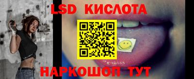 прущие грибы Среднеуральск