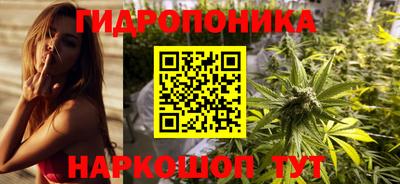 прущие грибы Среднеуральск