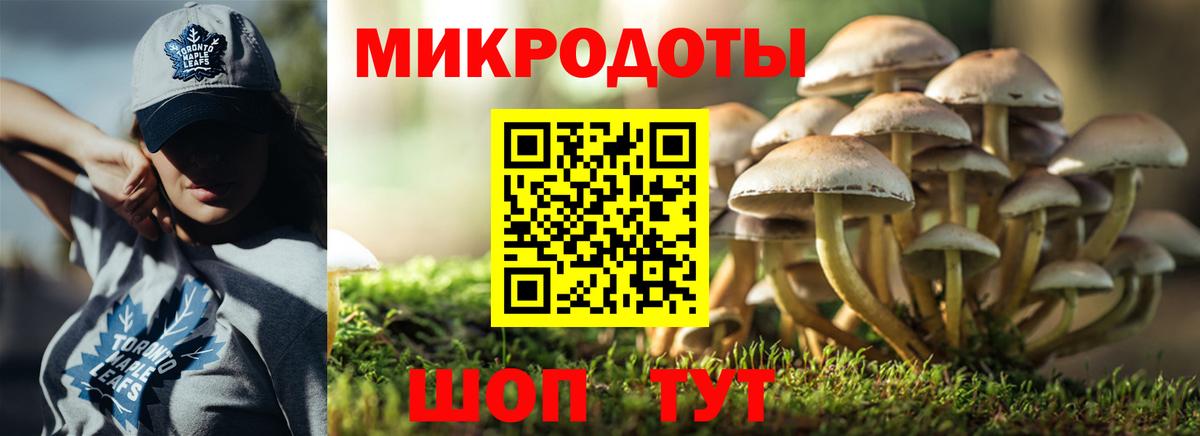 Галлюциногенные грибы GOLDEN TEACHER  Вход с VPN  Псилоцибиновые грибы мицелий  Новый Уренгой 