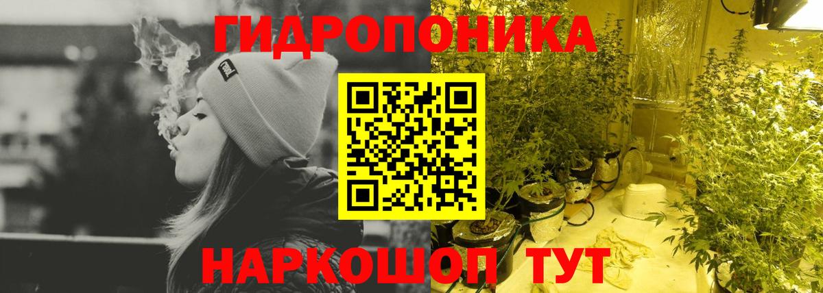 Шишки марихуана семена  Вход с VPN  Бошки марихуана индика  Шишки марихуана конопля  Новый Уренгой 